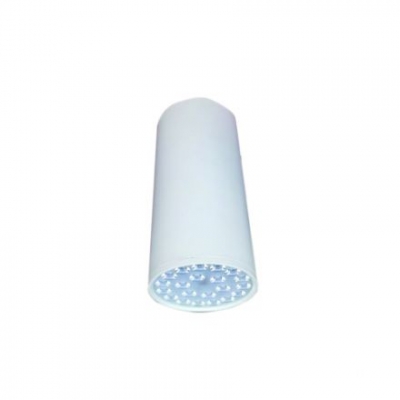 ĐÈN LED CHIẾU SÂU GẮN NỔI TRANG TRÍ 21W (DIB1213)